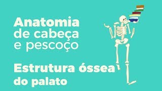 Anatomia de Cabeça e Pescoço Estrutura óssea do palato [upl. by Aelahs762]