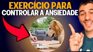 Como Controlar A Ansiedade Do Seu Cachorro Na Hora Da Comida [upl. by Bastien]