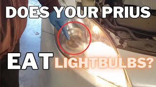 Try THIS if your Headlight Bulbs KEEP GOING OUT  2012 Toyota Prius [upl. by Elodea]