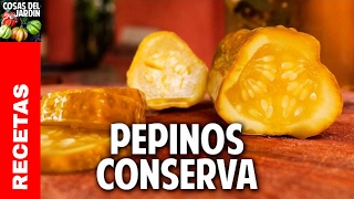 Cómo hacer Pepinos en conserva con fermentación natural facil y saludable cosasdeljardin [upl. by Manuela323]