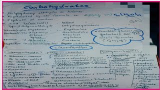 short notes Explanation Carbohydratescpget 2023 nutrition and dietetics🥦🍎🥗 [upl. by Desma]