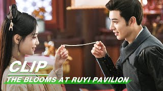 Clip Wu Baiqi Is Injured For Save Kiki Xu  The Blooms At RUYI Pavilion EP24  如意芳霏  iQIYI [upl. by Tlihcox]