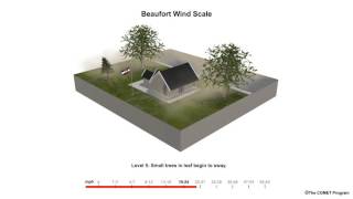 Beaufort Scale Wind Speed Example [upl. by Rodavlas]