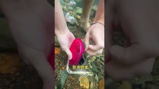 Water items New Vairal Gadgets Smart Appliances Kitchen UtensilsHome Inventions shorts gadgets [upl. by Ballou]