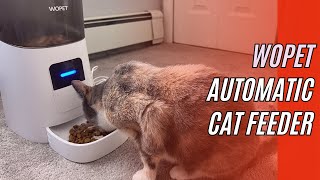 🔥AWESOME🔥 WOPET 6L Automatic Cat Food Dispenser WiFi Automatic Cat Feeder with APP Control [upl. by Immak65]