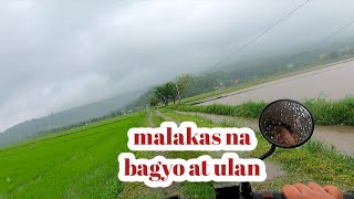 team kusina walang pasok dahil sa malakas na pag ulan [upl. by Nnaaihtnyc]