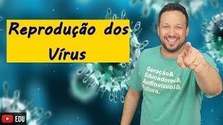 Reprodução dos Vírus  Microbiologia  Biologia com o Tubarão [upl. by Cl]