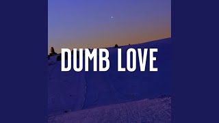 Dumb Love [upl. by Mascia]