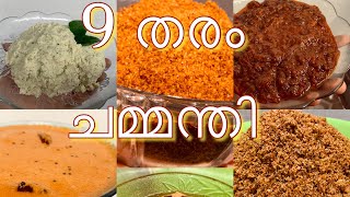 9 തരം ചമ്മന്തി [upl. by Sarnoff]