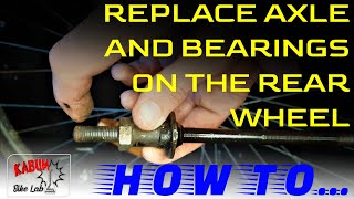 How To Replace Axle And Bearings On The Rear Wheel Hub With Freewheel [upl. by Servetnick243]