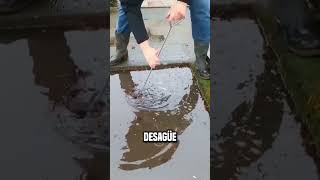 También hay sensores instalados en los desagües😮 shortsvideo [upl. by Imnubulo]