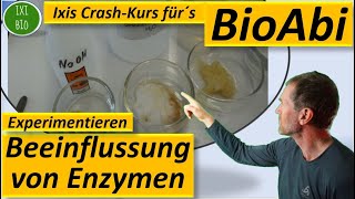 Enzyme 6 Experiment zur pHAbhängigkeitSchwermetallhemmung  Anwendungsaufgaben  Fit für´s BioAbi [upl. by Pacificas215]