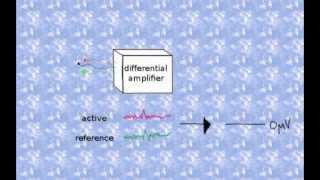 Voltage Measurements using Differential Amplifiers [upl. by Limhaj171]