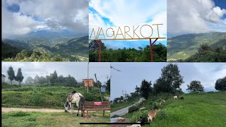 A Day out  Nagarkot  vlog [upl. by Yot]