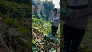 Ek taraf job ki kosis or dusri taraf itna sara kaam minivlog dailyshorts farming villagelife [upl. by Trebliw]