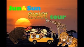 JunampSun 사파리 투어대전 오월드Safari Tour 호랑이와 사자가 [upl. by Gnuh]