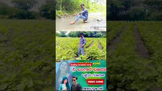 Nee bangara banadaki olleya gunadaki Janapada song ♥️janapada home viralshort [upl. by Ebony]