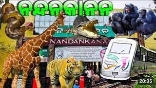 NANDANKANAN ZOO VLOG ODISHA BHUBANE NEW VLOG VIDEO TIGERS LIONS CROCODILES  WHITE TIGER ETC [upl. by Sobel]