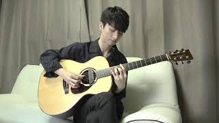 Camila Cabello Havana  Sungha Jung [upl. by Ahsemo]