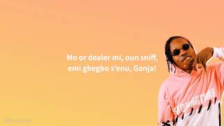 Naira Marley  Opotoyi Marlians Lyrics [upl. by Jann]