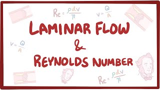 Laminar flow turbulence and Reynolds number [upl. by Finlay727]