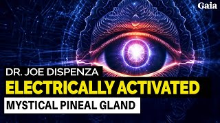 Ways to Access Transcendent Reality via the Pineal Gland  Dr Joe Dispenza [upl. by Llenal]