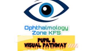 Chapter Neurophthalmology  Visual pathway and its lesions [upl. by Evod]