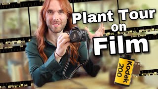 2024 Houseplant Tour ON FILM [upl. by Evets]