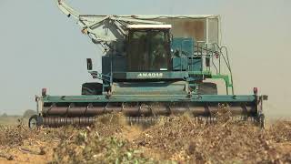 Amadas 9900 CDS peanut harvester working in South Africa May 2018 [upl. by Jania]