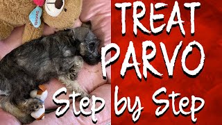 HOW TO CARE FOR YOUR PUPPY WITH PARVO AT HOME  ADMINISTERING IV FLUIDS NUTRICAL  ORGANIC DROPS [upl. by Carman344]