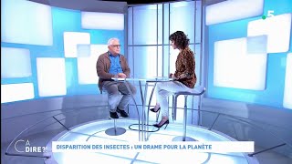 Disparition des insectes  un drame pour la planète cadire 07032019 [upl. by Andee]