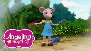 Angelina Ballerina 🎵 Pollys Best Moments 💃 [upl. by Atterg]