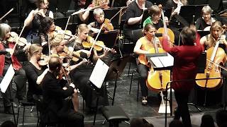 Eduard Strauß Witzblitz Polka  Symphonieorchester Wilde Gungl [upl. by Llehsad]