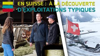 S2  E11  À LA DÉCOUVERTE DEXPLOITATIONS TYPIQUES DE SUISSE 🇨🇭🧀🐄 12 [upl. by Gnoh]