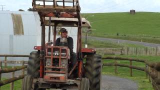 The New Zealand Farming Story Tackling Agricultural Emissions [upl. by Banky]