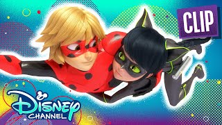 Ladybug and Cat Noir Switch  Passion  Miraculous Ladybug  disneychannel x Miraculous [upl. by Enymsaj122]