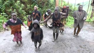 Batwa dance [upl. by Ecnarolf]