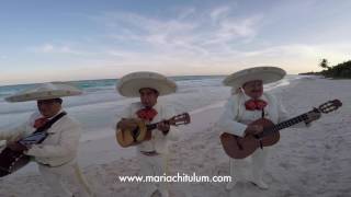 Mariachi Tulum  Negrita de mis pesares [upl. by Dachia]