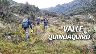 EL VALLE DESCONOCIDO DE LA CARA NORTE DEL VOLCAN EL ALTAR [upl. by Odnam]