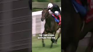 TBT OUIJA BOARDs Spellbinding Nassau Stakes [upl. by Rhu937]