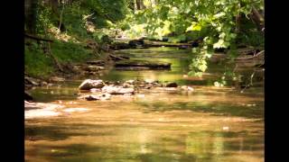 400 Acre TN Farm For Sale United Country Nashville [upl. by Ahsiemak724]