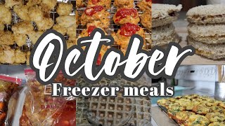 Toddler meal prep  freezer friendly [upl. by Akemat]