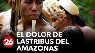 El dolor de las tribus del Amazonas por la deforestación  26Global [upl. by Ilyak]