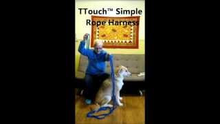 Tellington TTouch® Simple Rope Dog Harness [upl. by Anma]