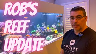 Robs Reef Update  8x25x25 [upl. by Doniv]