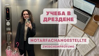 Дрезден Влог🏢Notarfachangestellte zwischenprüfung  Учеба в Германии  Кудрявый метод 👩‍🦱 [upl. by Ikkela630]