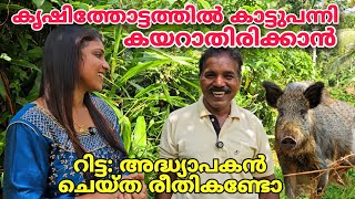 കൃഷിത്തോട്ടത്തിൽ കാട്ടുപന്നി കയറാതിരിക്കാൻ റിട്ട അദ്ധ്യാപകൻ ചെയ്ത രീതി കണ്ടോ  Agri [upl. by Ibrab]