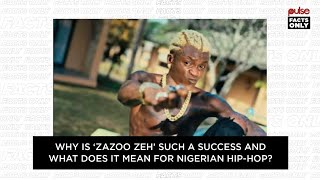 Why is ‘Zazoo Zeh’ such a success and what does it mean for Nigerian HipHop  Pulse Facts Only [upl. by Aerehs970]