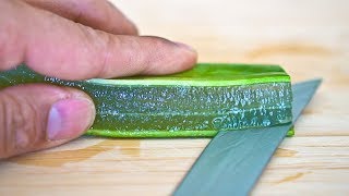 How to Make Aloe Vera Gel in 90 Seconds [upl. by Sille326]