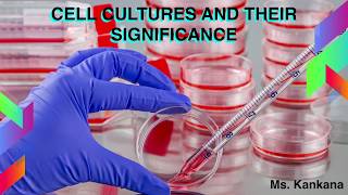 What are the types of Cell culture and their Significance  Biotechnology  General Medicine [upl. by Bohman]